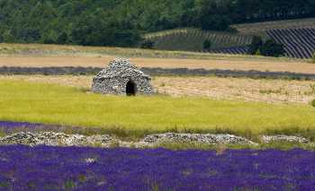 borie et lavande à Ferrassieres