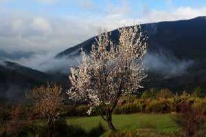 hameau de vergol